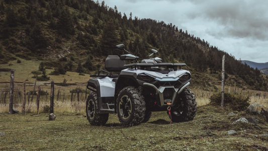 Trapper 550L T3b EPS Guardian